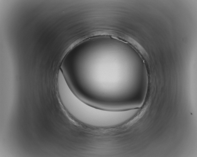 X0000115720993200911191348