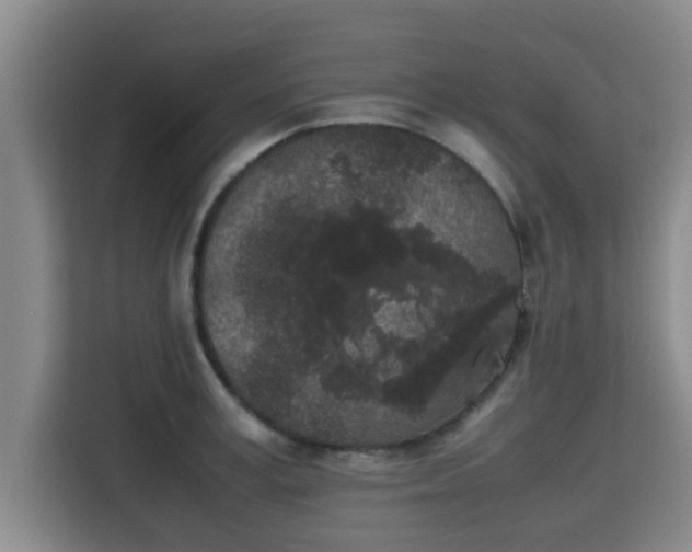 X0000115720995200911191348
