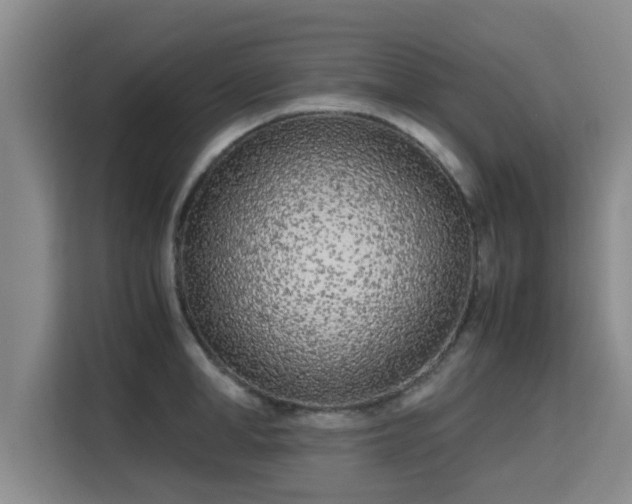 X0000115720998200911191348