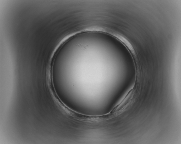 X0000115721000200911191348