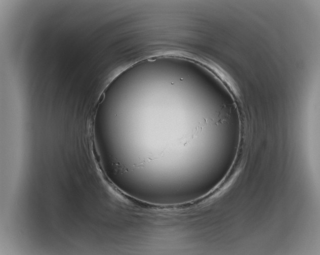 X0000115721001200911191348