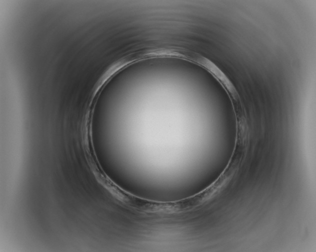 X0000115721002200911191348