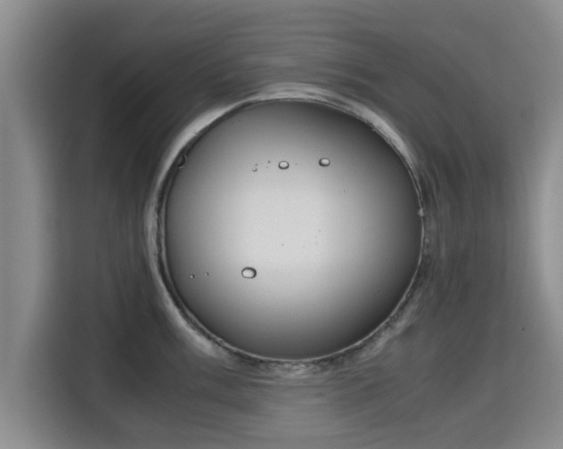 X0000115721003200911191348