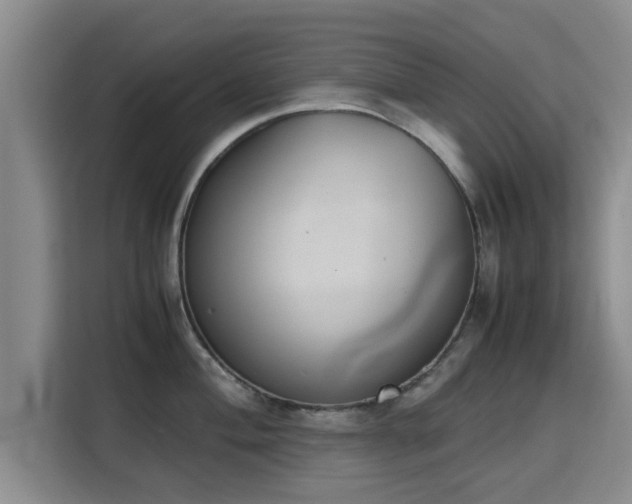X0000115721004200911191348