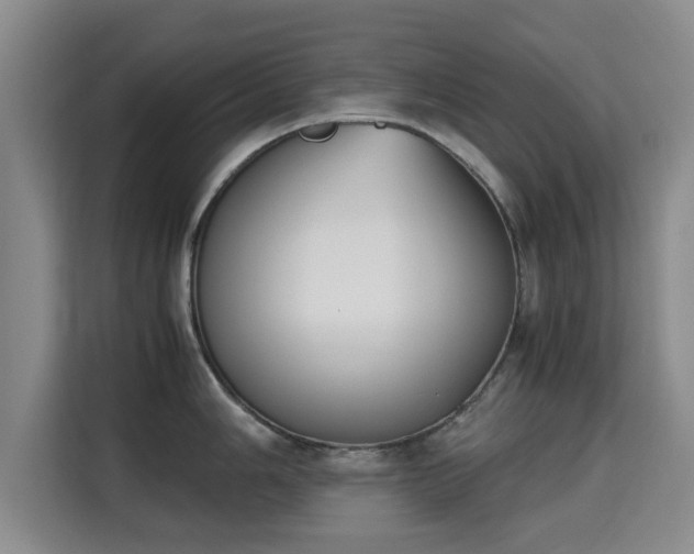 X0000115721006200911191348