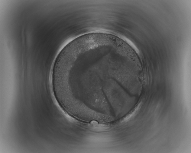 X0000115721007200911191348