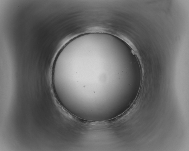 X0000115721008200911191348
