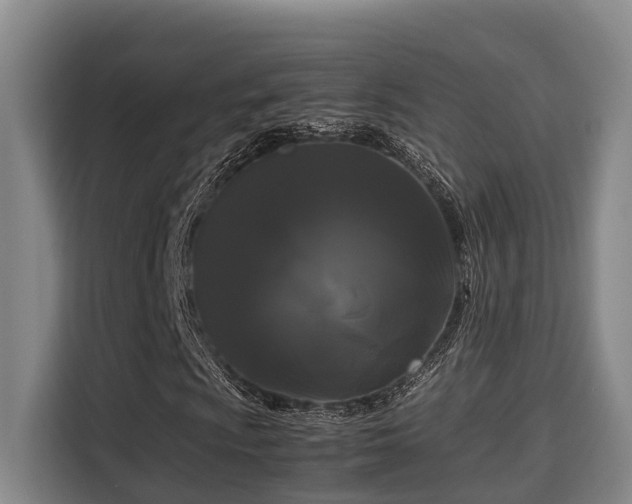 X0000115721009200911191347