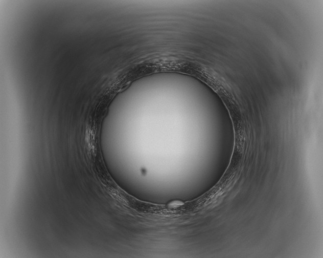 X0000115721010200911191347