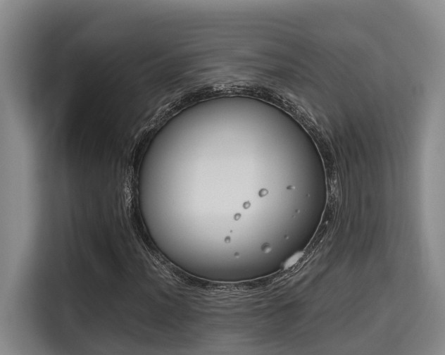 X0000115721012200911191347