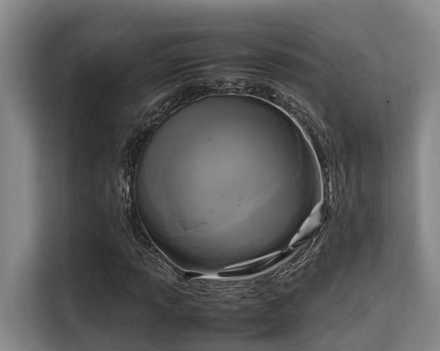 X0000115721013200911191347