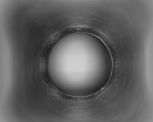 X0000115721014200911191347