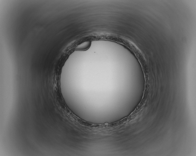 X0000115721016200911191347
