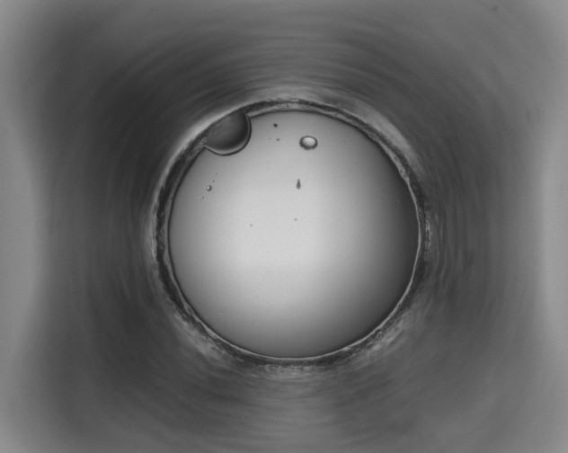 X0000115721020200911191347
