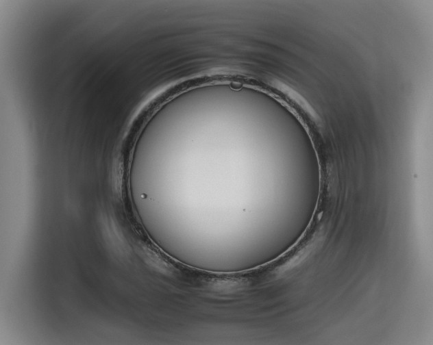 X0000115721021200911191347