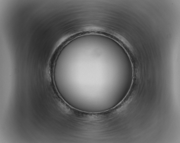 X0000115721022200911191347