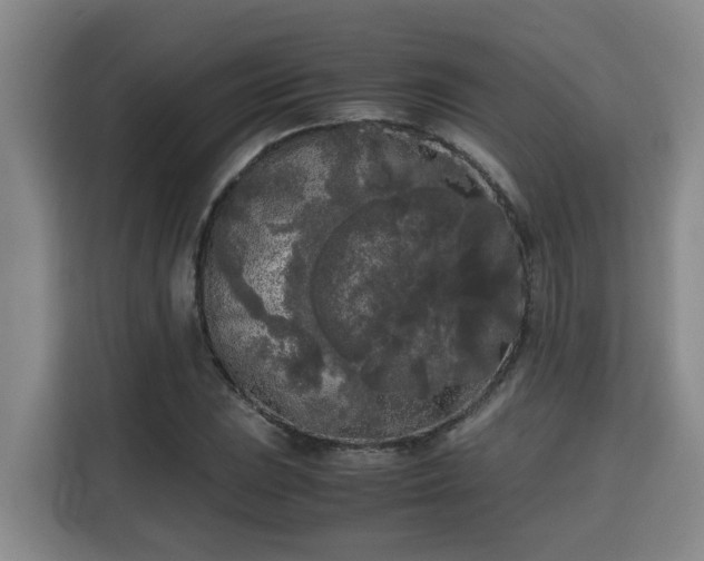 X0000115721023200911191347