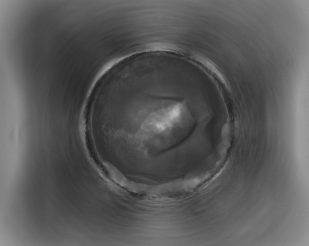 X0000115721024200911191347