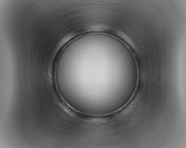 X0000115721026200911191347
