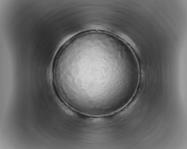 X0000115721028200911191347