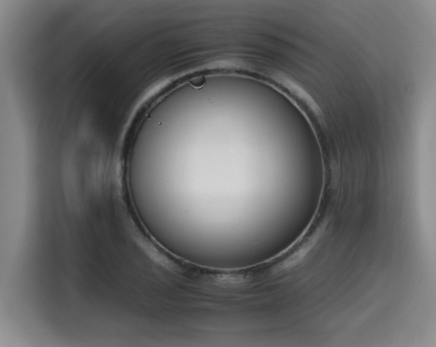 X0000115721029200911191347