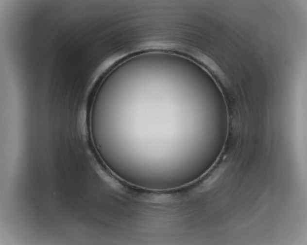 X0000115721030200911191347