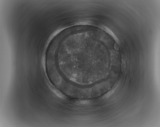 X0000115721035200911191347
