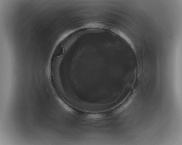 X0000115721037200911191347