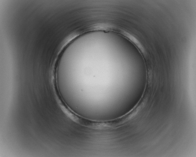 X0000115721042200911191347