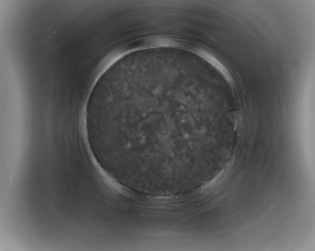 X0000115721047200911191347