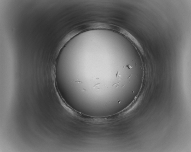 X0000115721049200911191347
