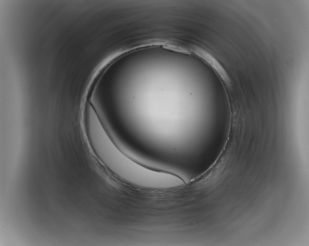 X0000115721051200911191347
