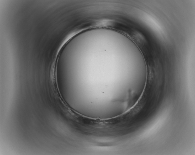 X0000115721052200911191347