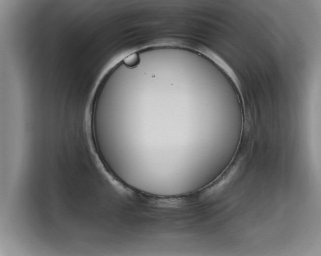 X0000115721053200911191347