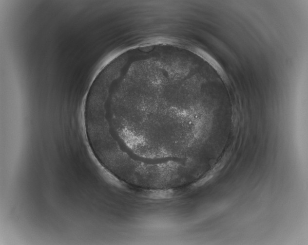 X0000115721055200911191347