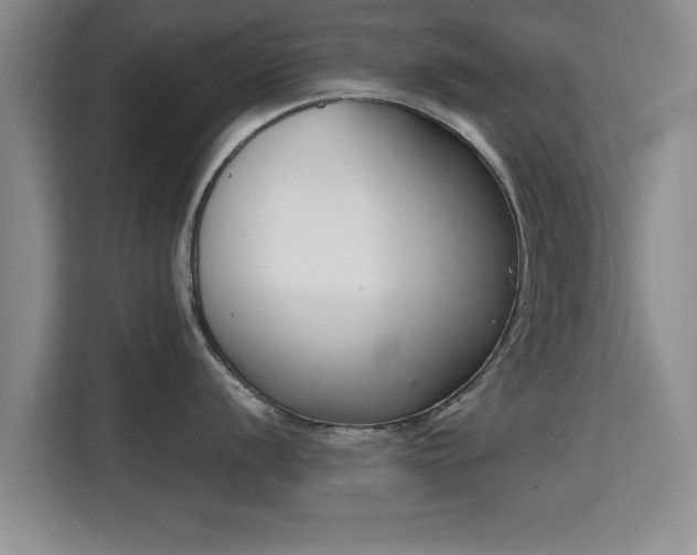 X0000115721056200911191348