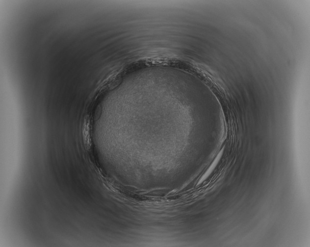 X0000115721060200911191347