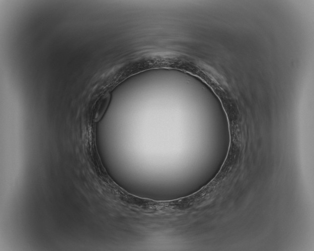 X0000115721061200911191347