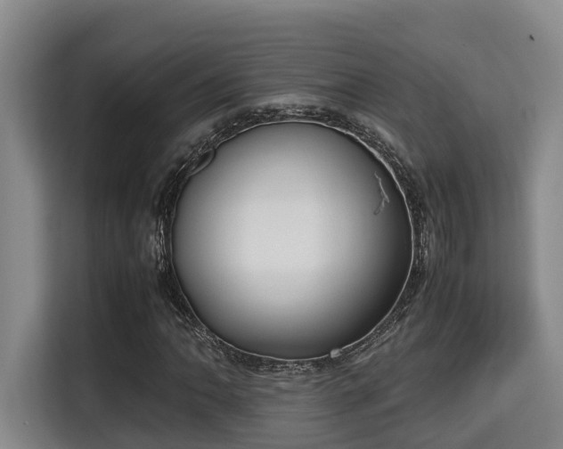 X0000115721062200911191347