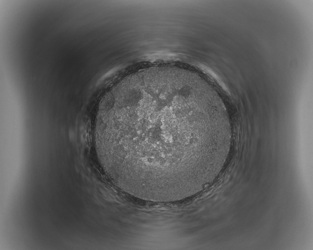 X0000115721063200911191347
