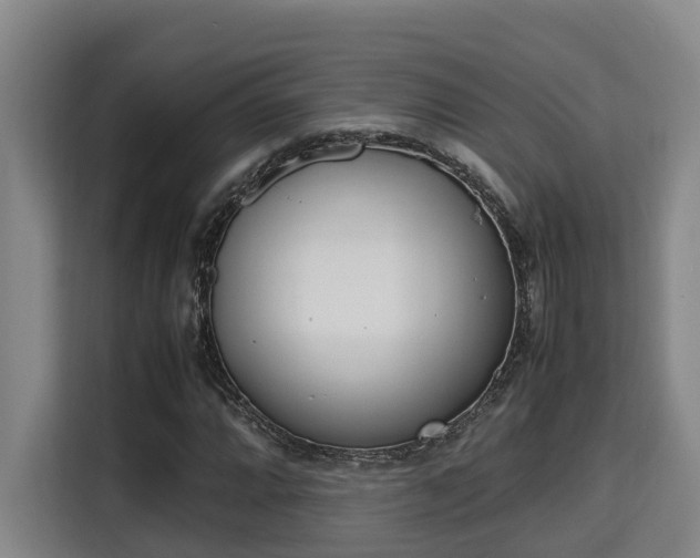 X0000115721064200911191347