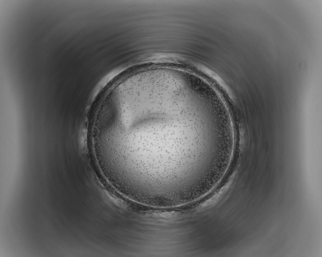 X0000115721066200911191347