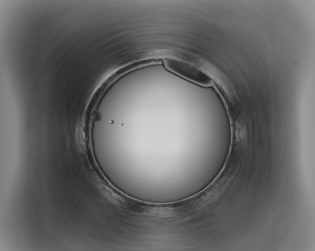 X0000115721068200911191347
