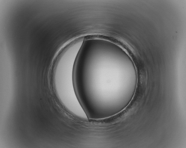 X0000115721069200911191347