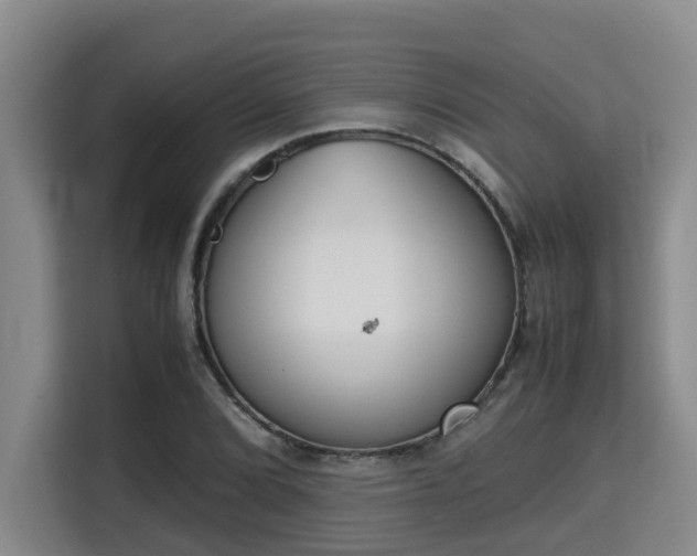 X0000115721072200911191347