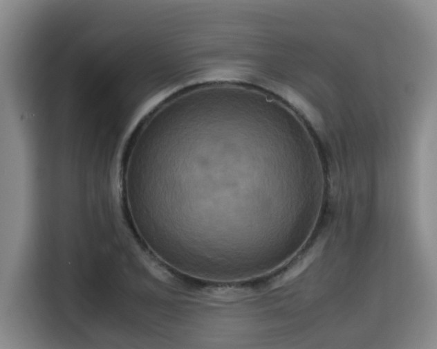 X0000115721077200911191347