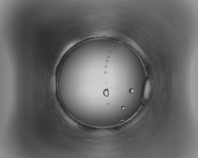 X0000115721079200911191347