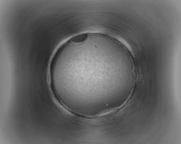 X0000115721080200911191347