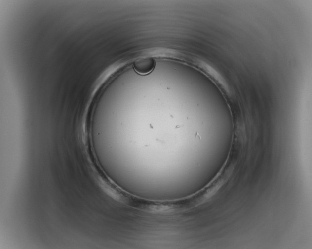 X0000115721082200911191347