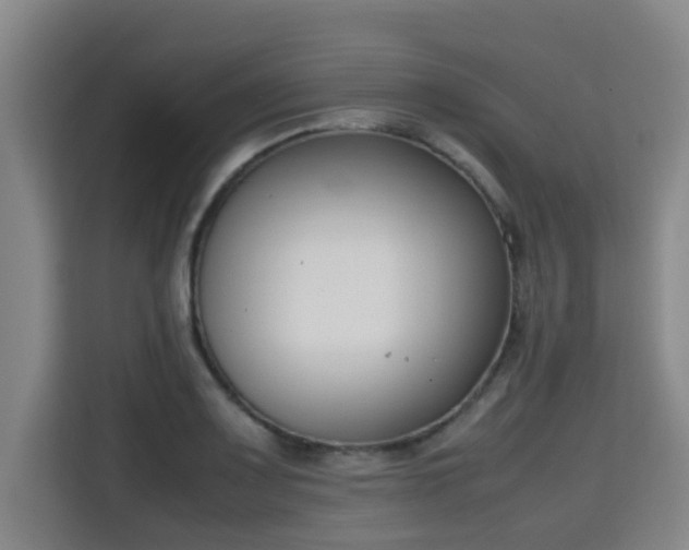 X0000115721083200911191347